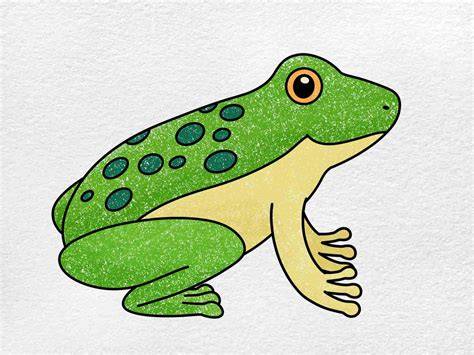 frog draw|easy to draw frog pictures.